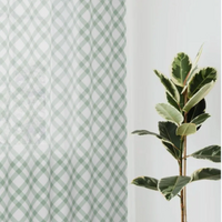 Green and white checkered curtain with a plant on a light gray background